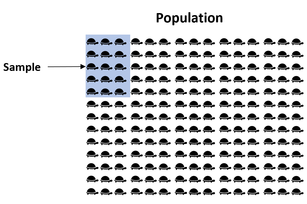Выборка из примера населения